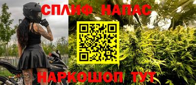 ECSTASY Будённовск