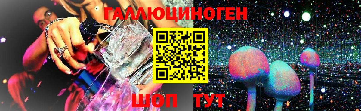 Псилоцибиновые грибы Psilocybine cubensis  Псилоцибиновые грибы мухоморы  Отрадное  Вход с VPN 