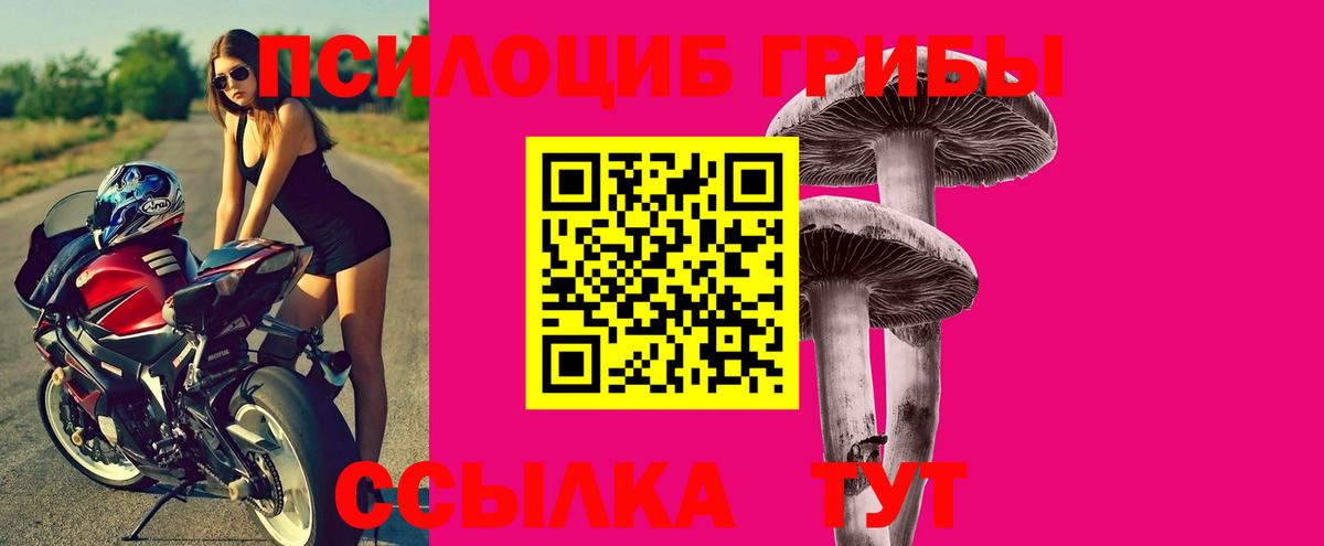 Псилоцибиновые грибы прущие грибы Отрадное